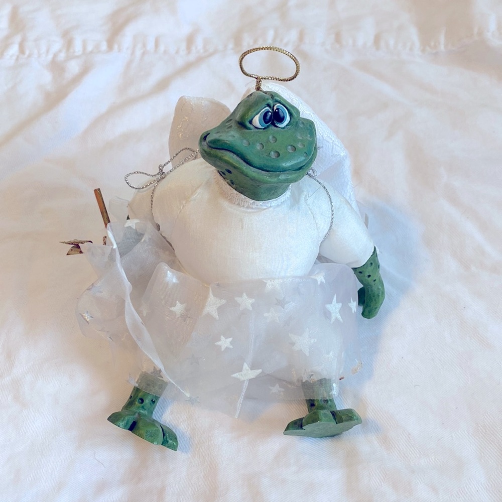 Angel frog